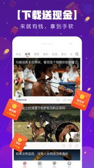 播播在线视频,精彩内容一网打尽，畅享视听盛宴